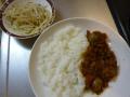 curry20110717_gizzard/20110717-211734.jpg