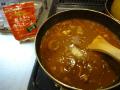 curry20111119_chicken_fast/20111119-202402.jpg